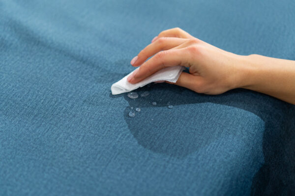 Clean Sofa Fabric