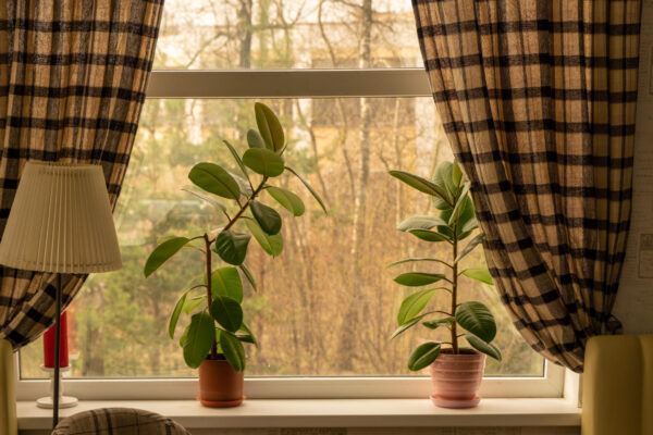 Best Affordable Curtain according to the season