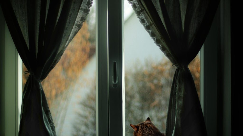 Which curtain is suitable in winter?