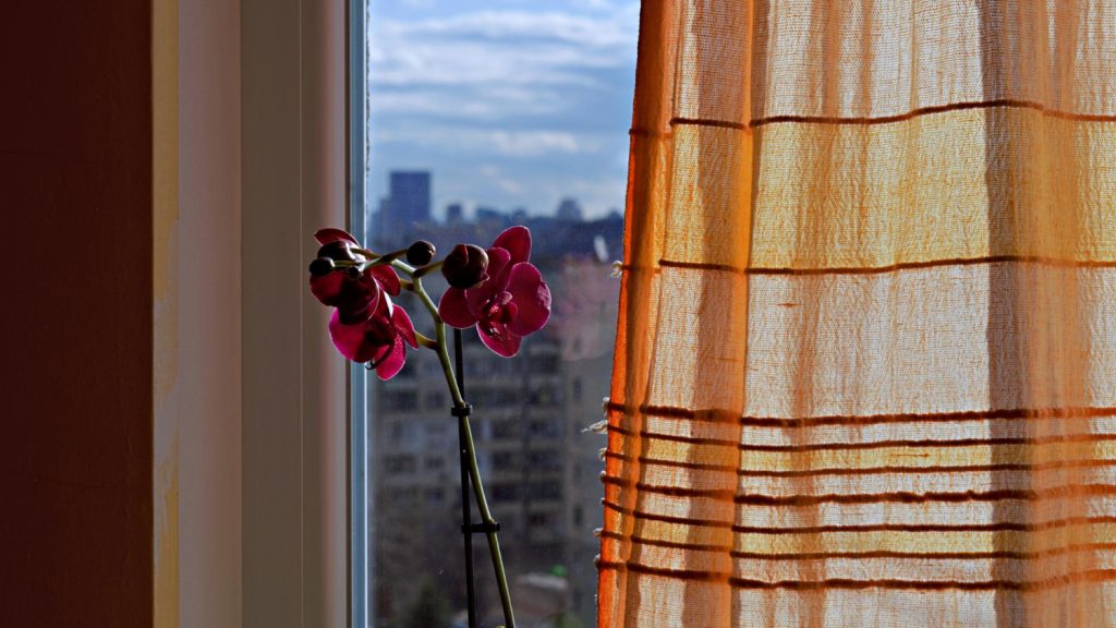 curtains in the transition season